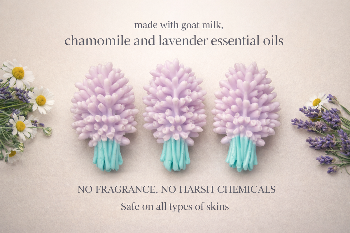 Lavender Saponetta