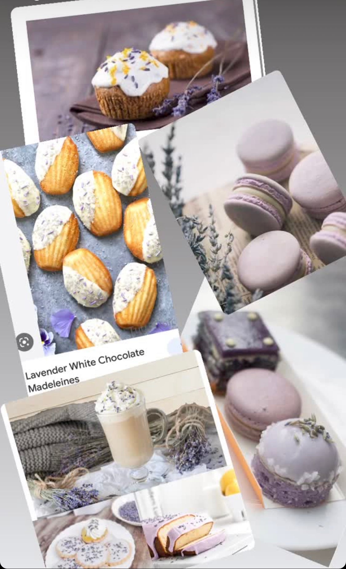 Culinary Lavender Flowers