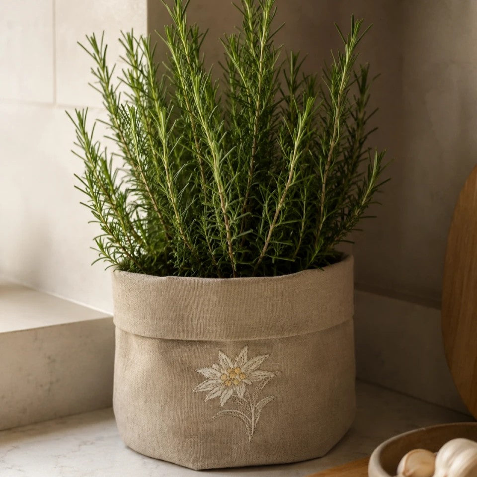 Cortina Stella Alpina Basket in Oatmeal Stone