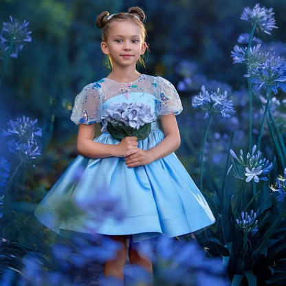 Celestial Butterfly Blue Sequin Tulle Birthday Dress for Girls