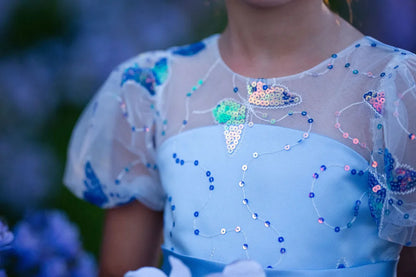 Celestial Butterfly Blue Sequin Tulle Birthday Dress for Girls