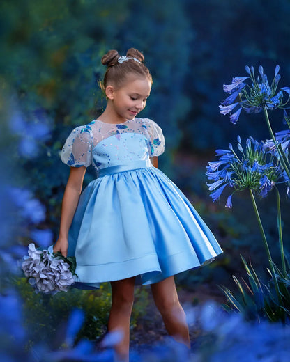 Celestial Butterfly Blue Sequin Tulle Birthday Dress for Girls