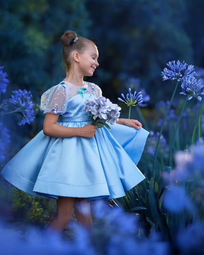 Celestial Butterfly Blue Sequin Tulle Birthday Dress for Girls