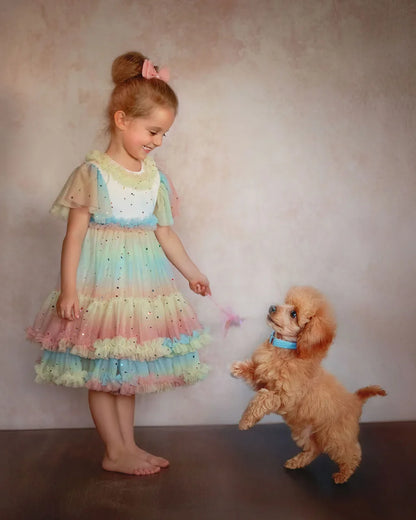 Pastel Stardust Layered Tulle Birthday Dress for Girls